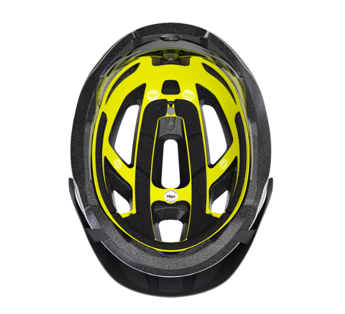 img19616-4.png